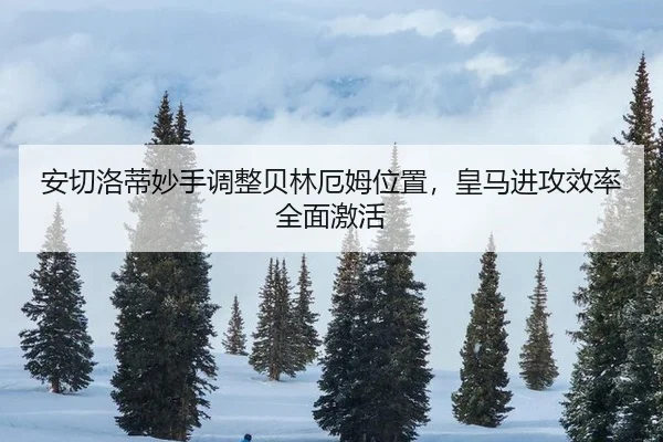 an-qie-luo-di-miao-shou-tiao-zheng-bei-lin-e-mu-wei-zhi-huang-ma-jin-gong-xiao-lv-quan-mian-ji-huo-3-121.jpg